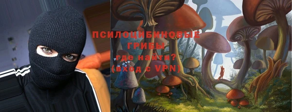 прущие грибы Арсеньев