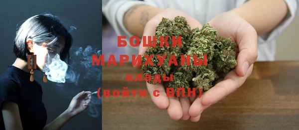 прущие грибы Арсеньев