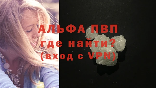 хмурый Аркадак