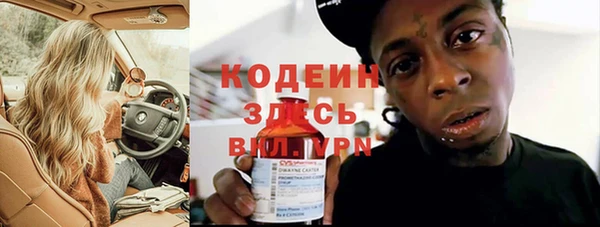прущие грибы Арсеньев