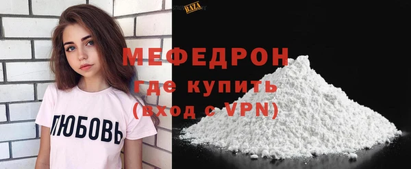 хмурый Аркадак