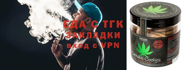 хмурый Аркадак