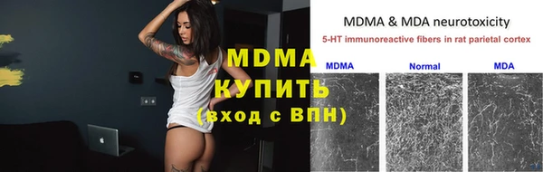 хмурый Аркадак