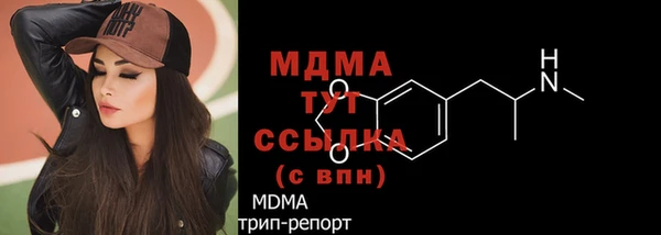 хмурый Аркадак