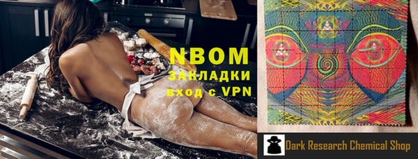 хмурый Аркадак