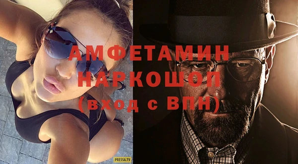 хмурый Аркадак