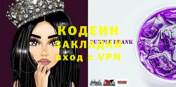 хмурый Аркадак