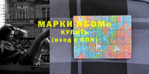 хмурый Аркадак