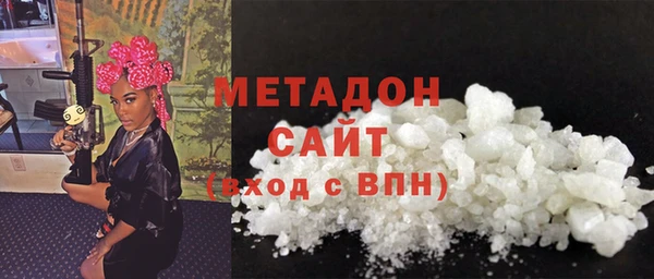 хмурый Аркадак