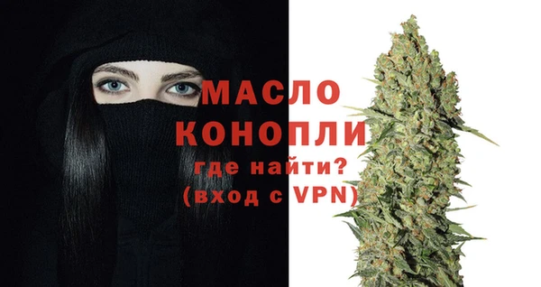 индика Няндома