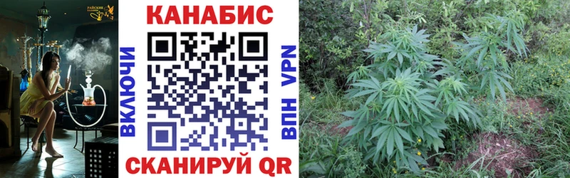 kraken как зайти  darknet клад  Бошки марихуана тримм  Полесск 